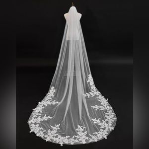 White veil with lace detail
